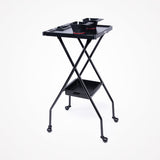 Mesa Ayudante Plegable Magneto Con Bowls Magnéticos Italor