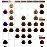 Absoluk coloración permanente
