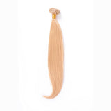 Extension 50Cm Lisa Mod 86 Rubio Platino Dorado