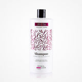 Champú Post Color Color Care Aceite De Linaza Y Extracto De Zanahoria 1000Ml Design Look