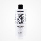 Champú  Frequent Use Caramelo 1000 Ml Design Look