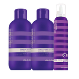 Pack Mantenimiento Elgon ColorCare Silver 3 productos