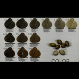Tinte Sin Amoniaco Color Gold 100 ml (61 Tonos)